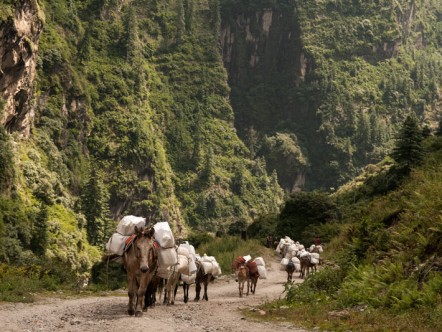 Annapurna Circuit 01