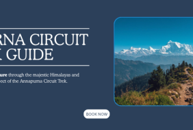 Annapurna Circuit Trek