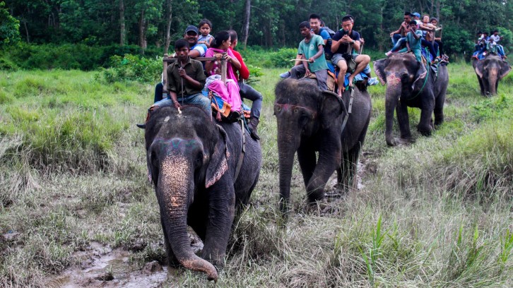 Elephant_Safari_inside_Chitwan_National_Park-20230718121716