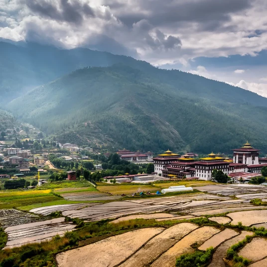 fields-dzong-Thimphu-Bhutan