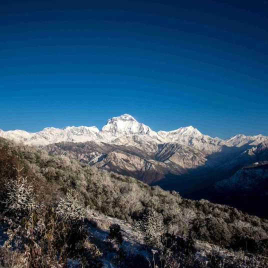 Ghorepani6 (1)