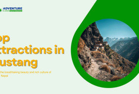 Presentation - Top Attractions in Mustang (1)