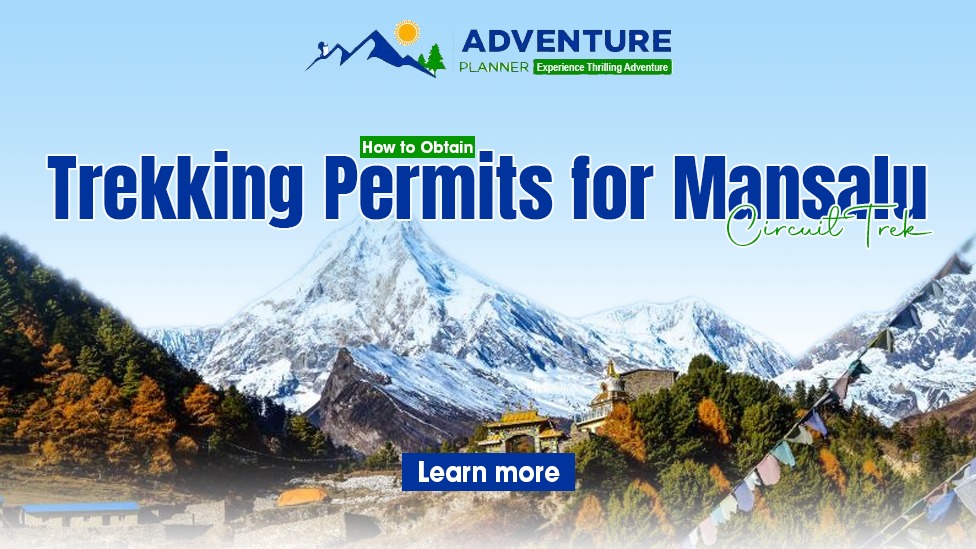 WhatsApp Image 2025-12-01 at 2